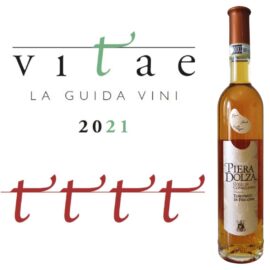 Guida A.I.S. “Vitae 2021”