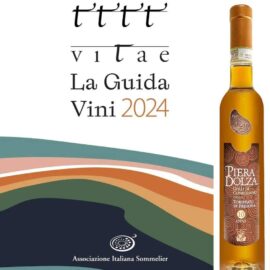 Guida A.I.S. “Vitae 2024”